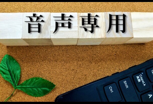 ケバ取り1分80円～ 音声の文字起こし承ります オンライン秘書がお仕事承ります！ イメージ6