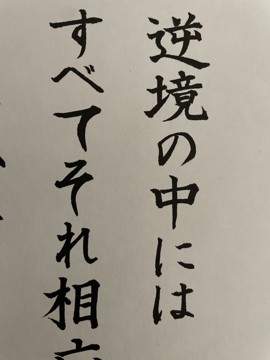 ナポレオン・ヒルの【名言書作品】をお届けします どんな逆境にも、未来を変える”希望の種”が眠っている。 イメージ3