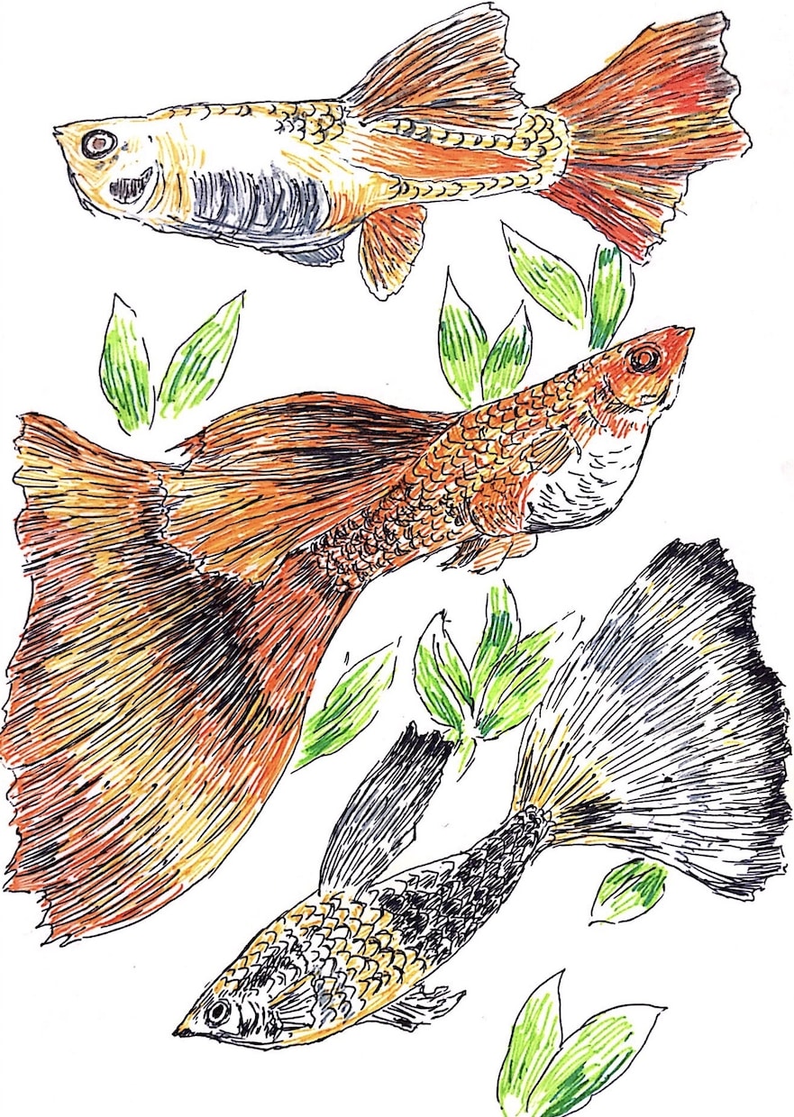 動植物や虫を描きます ボールペンならではの味わいをお楽しみください イメージ5