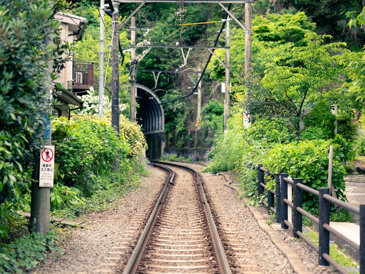 神奈川│プロカメラマンによる写真撮影代行します 撮影スポットから撮影・編集まで一括にご相談ください イメージ9