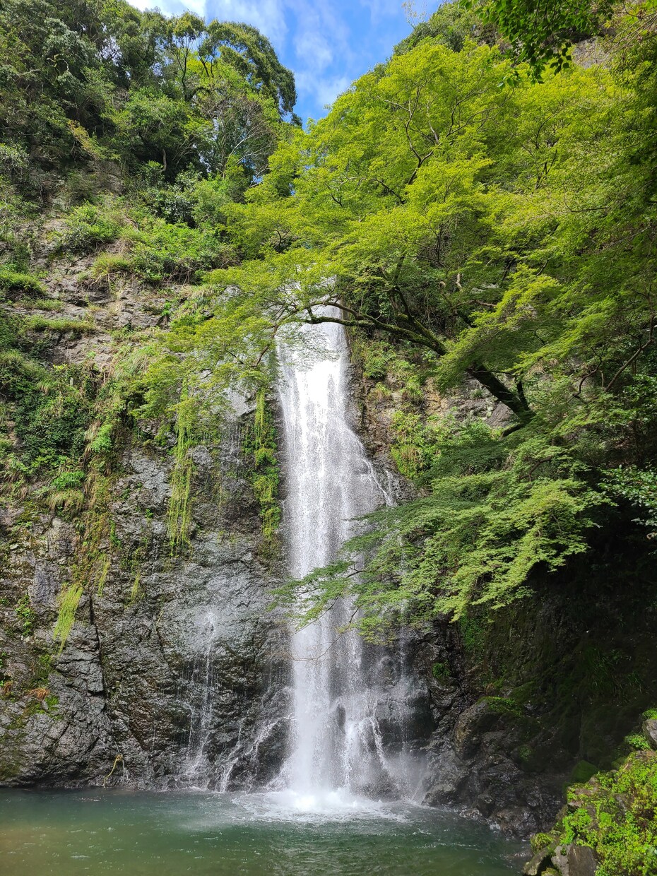 心と身体の健康を取り戻すお手伝いをいたします 心の悩みや身体の不調をトータルとして整えます。 イメージ4