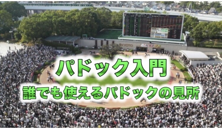 あなたの代わりにJRA競馬予想します 競馬予想は午年男に乗れ！JRA短距離戦を予想配信致します！ イメージ6