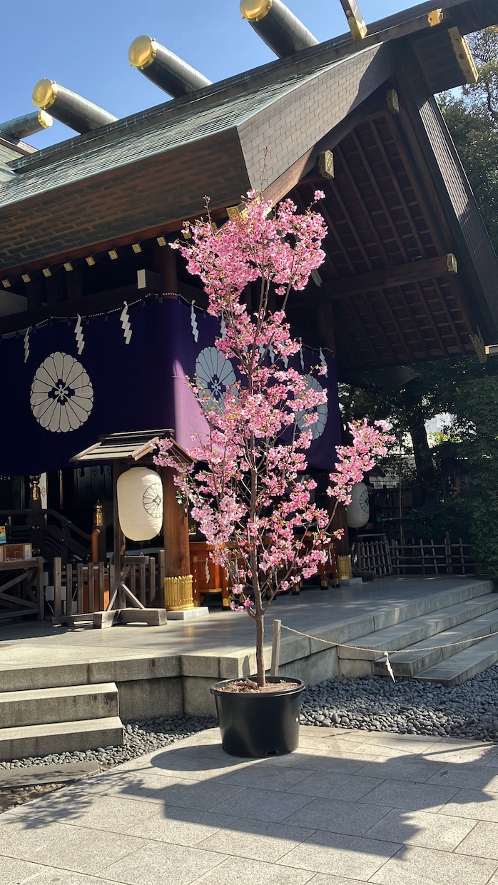 占いジプシー卒業、幸せになるお手伝いします 占いジプシー卒業、幸せになる具体的アドバイスします✴︎ イメージ3