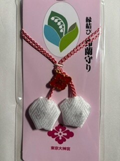 強力波動で霊視して貴女の望む未来を引き寄せ導きます 今知りたい♡恋愛♡人間関係♡貴女の魂の声を霊聴幸せに導きます イメージ6