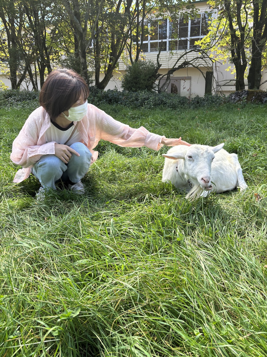 大好きなお相手の気持ち占います 現状から未来までお相手の気持ちの変化を占います イメージ1