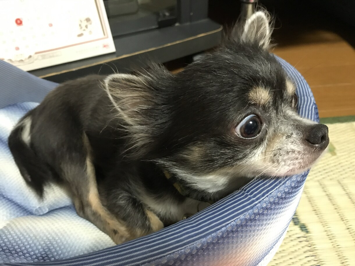 あなたの普段の悩み・相談なんでも聞きます 協調性が高く、人に興味心身な私があなたの相談、悩みを聞くよ！ イメージ3