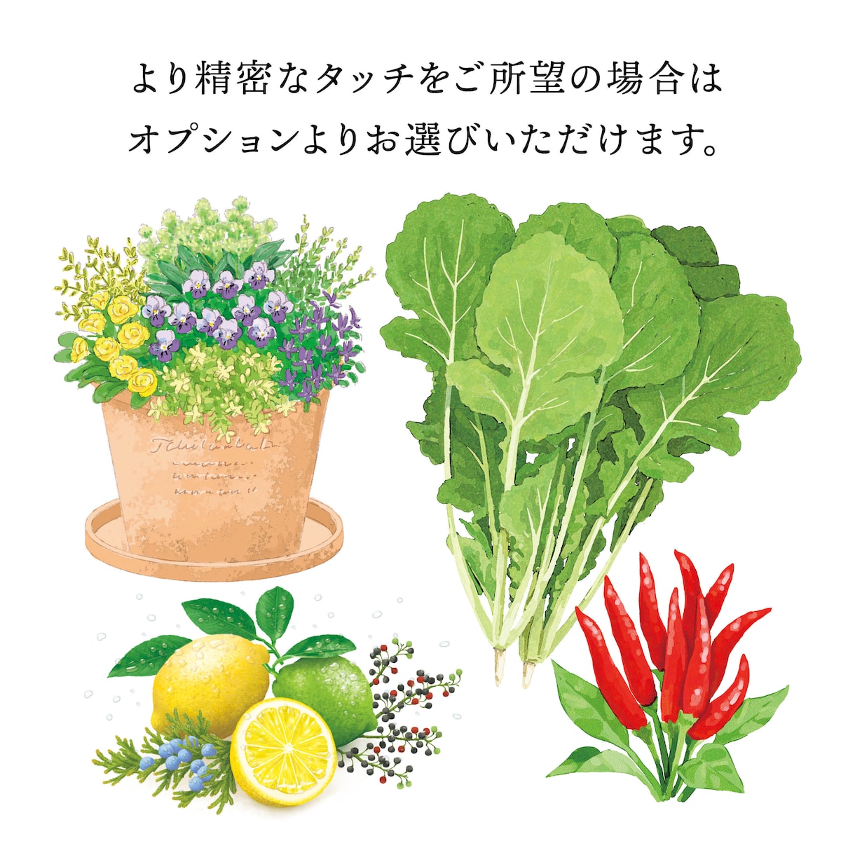 園芸関連のイラストを描きます 水彩、線画、シンボルなど、どんなタッチでもOK！ イメージ4