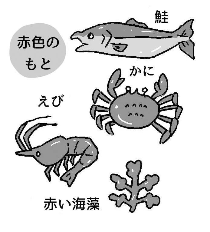 イラスト制作します 親しみやすい紙媒体用挿絵・WEB用イラストを制作します イメージ5