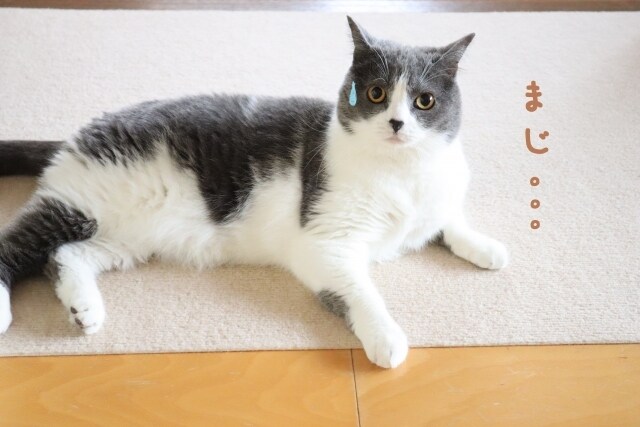 やらかしちまった失敗、お聞き致します 小さな事からやばい内容まで、秘密厳守でお聞き致します。 イメージ9