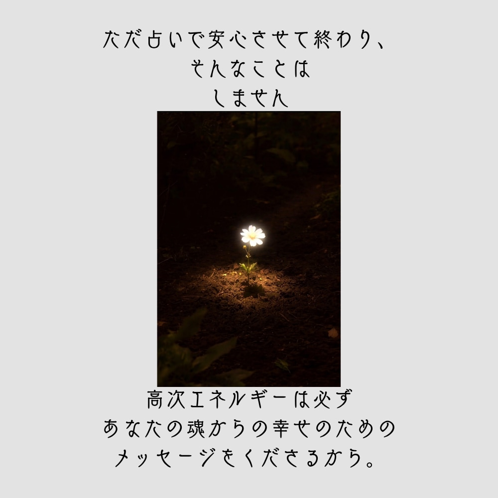 30日間あなたの恋愛と人生に寄り添い霊視します 1日1往復。ハイヤーセルフと一緒に、軽やかな人生へ格上げ！ イメージ6