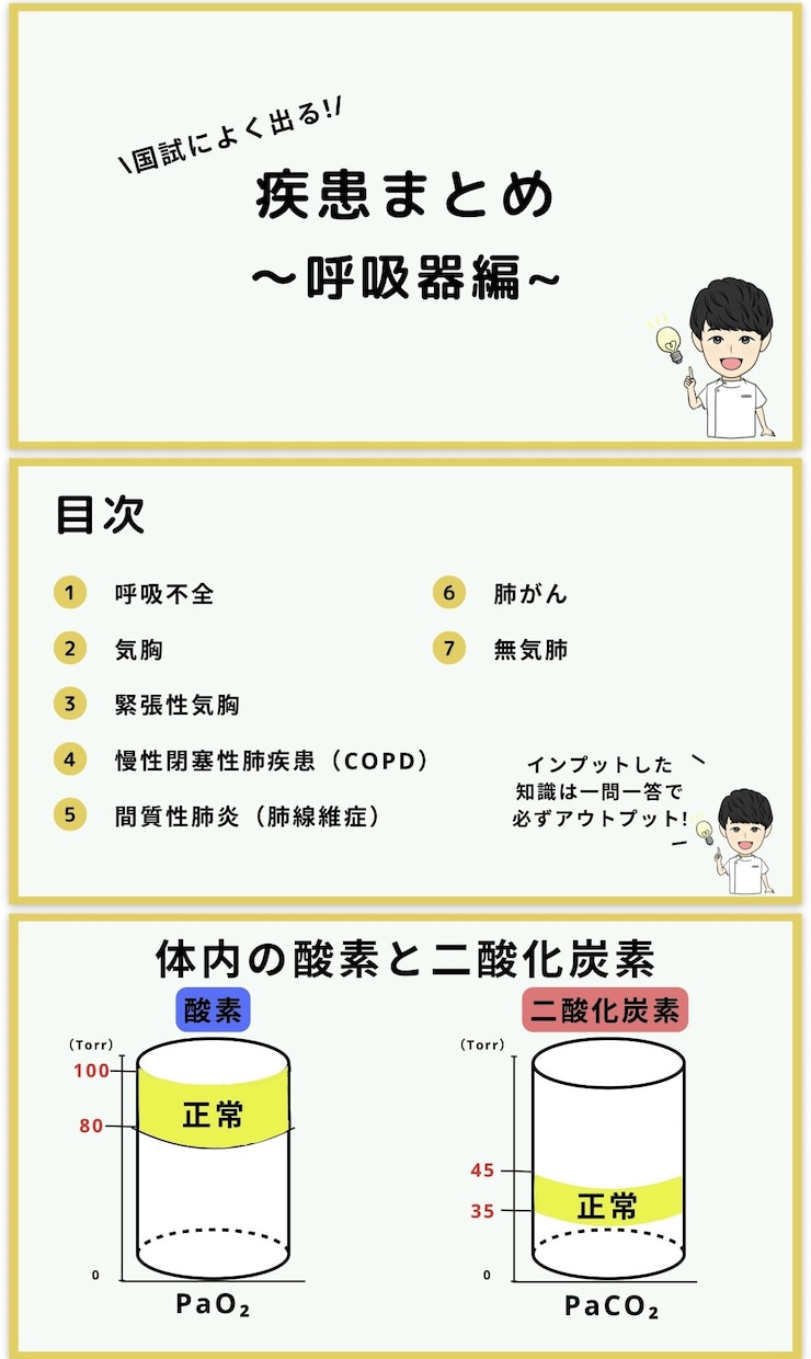 看護師国家試験 | 頻出疾患を徹底理解できます \効率よく勉強したいあなたへ/頻出疾患の要点をまとめた資料！ イメージ4