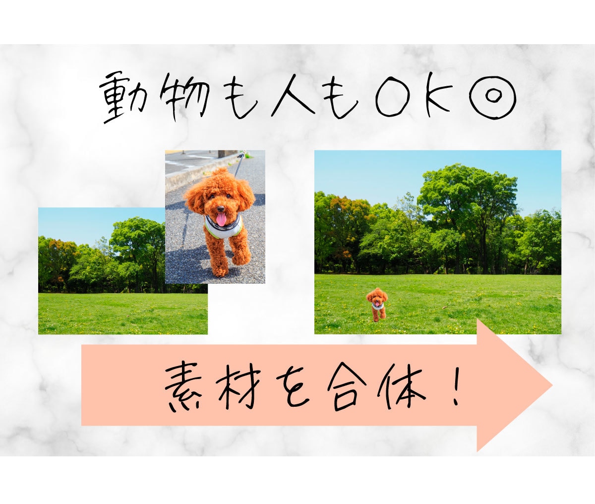 格安☆写真の切り抜き・合成をします 人や動物、商品はもちろん、まさかの"SF"みたいなのもOK！ イメージ3