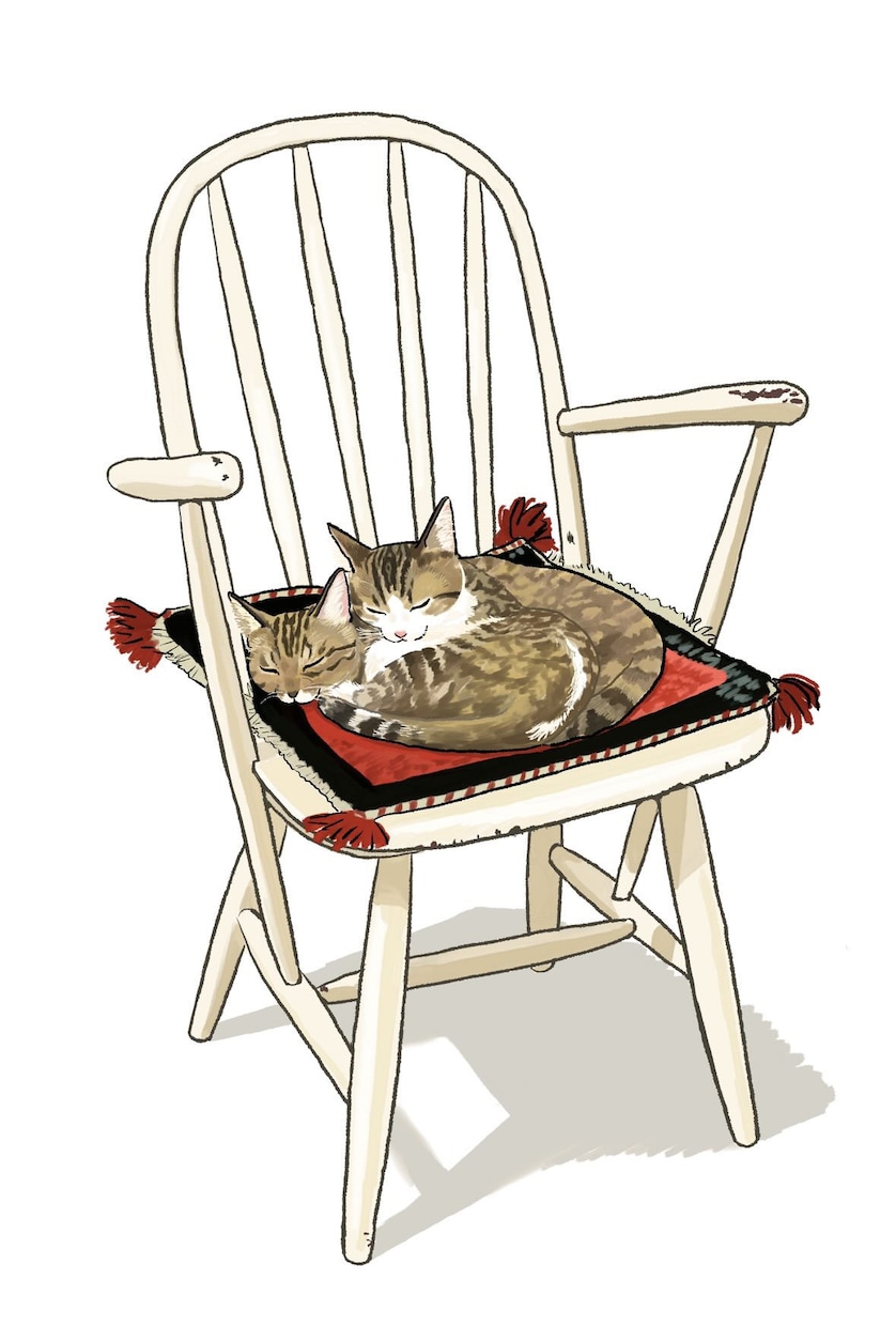ペット、動物のイラスト作成します シンプルな似顔絵はこのお値段でお受けしてます！ イメージ2
