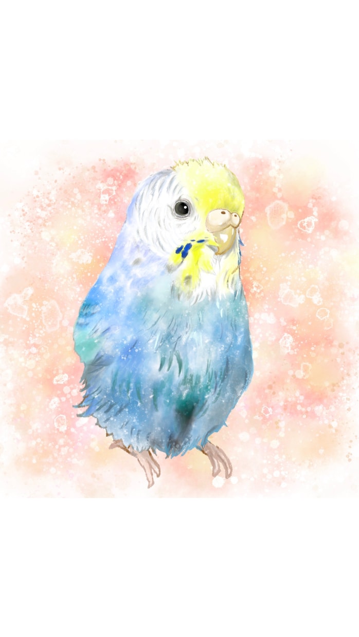 インコちゃんの水彩イラストを描きます 貴方のペットを温かみのある作品、イラストに残しませんか。 イメージ2