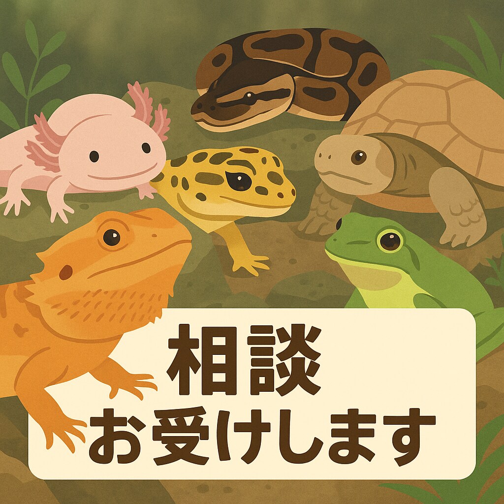 エキゾチックアニマルのお悩み相談お伺いします どんなペットの相談でもOKです イメージ10
