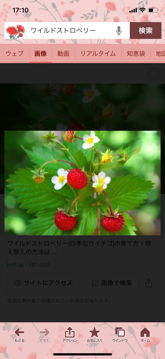 聞きます ゆる〜く話してみませんか？心を軽くするお手伝いさせてください イメージ1