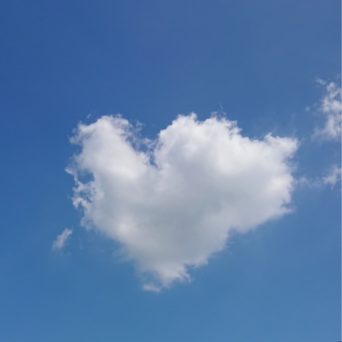 あなたのお話しじっくり聞きます あなたのお話しを否定せずありのまま受け止めます。 イメージ1
