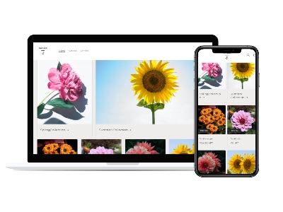 shopifyで高品質なECサイトを作成します 制作会社勤務のwebデザイナー(フロントエンド)が対応 イメージ4