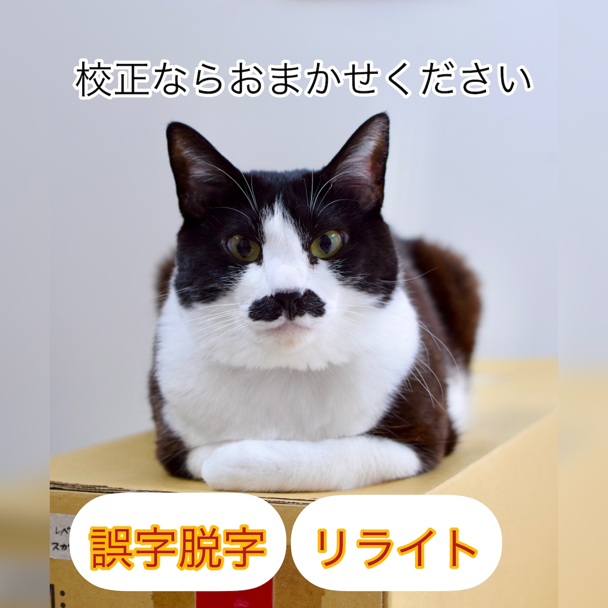 紙媒体実績20年。校正・リライトを行います 誤字脱字、表記ゆれのチェック、赤字との突き合わせなど要相談 イメージ1