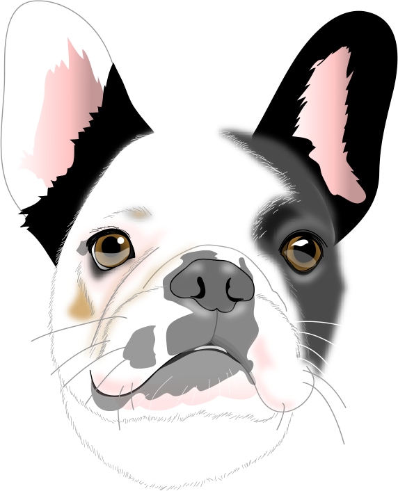 かわいいわんちゃんのリアル似顔絵を描きます わんちゃんのかわいさだけでなく少し生意気な感じで描きます。 イメージ2