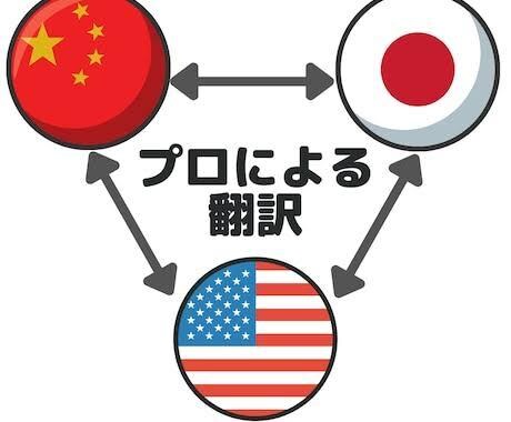 中国語・英語・日本語の文章を翻訳します 東大在学の中国語ネイティブです。翻訳なら任せてください！ イメージ1