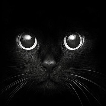 本気で解決！本音で語り！向き合う方！シェアします まずご相談ください★意識の方向付けを一緒に考えていきましょう イメージ1
