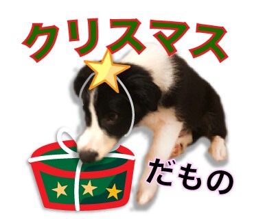 オリジナルLINEスタンプつくります 愛犬や子供ちゃん、カップルのLINEスタンプつくりたい方！ イメージ1