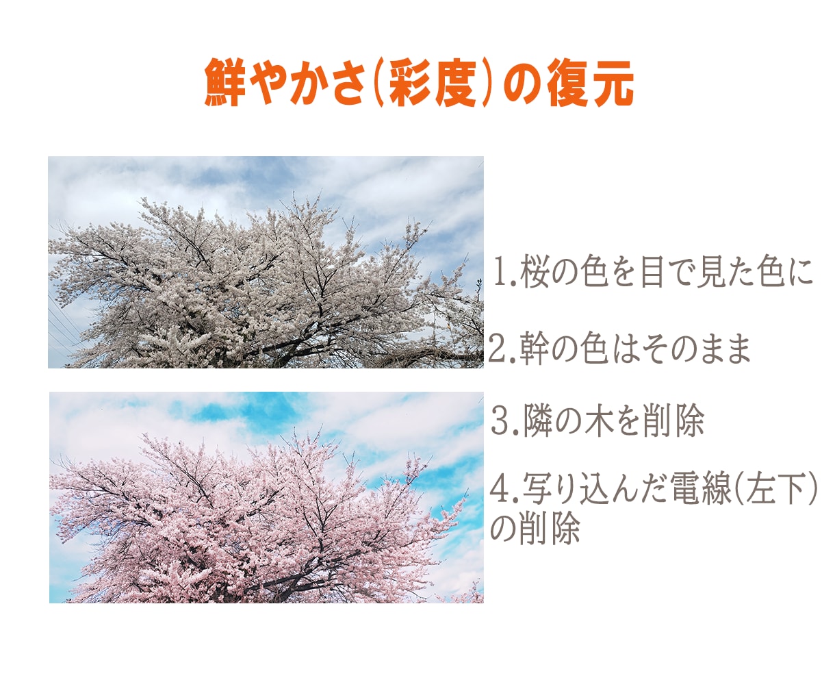 修正&加工で写真の魅力を高めます アプリでは編集が難しいところも、自然に直します。 イメージ3