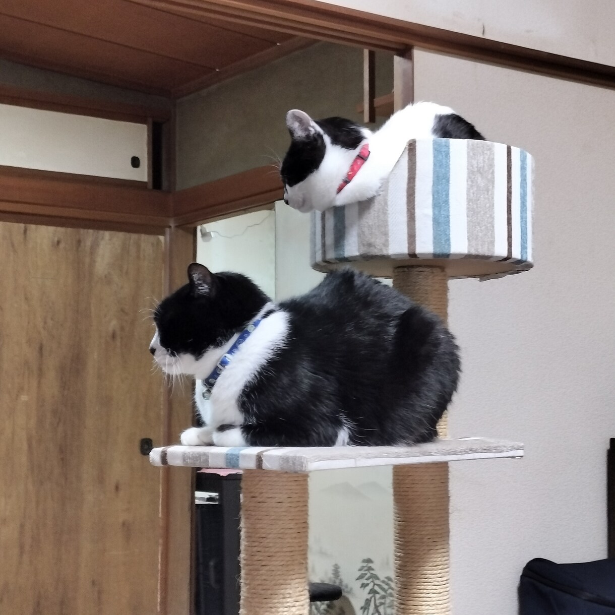 1週間チャットでゆっくり話し相手になります 何通でもOK！創作物の悩み・雑談等交換日記感覚で楽しむ イメージ6