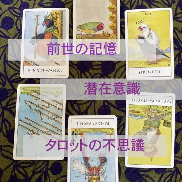 鳥タロットであなたの深層部にせまります 潜在意識や前世の記憶をタロットでのぞいてみませんか？ イメージ2