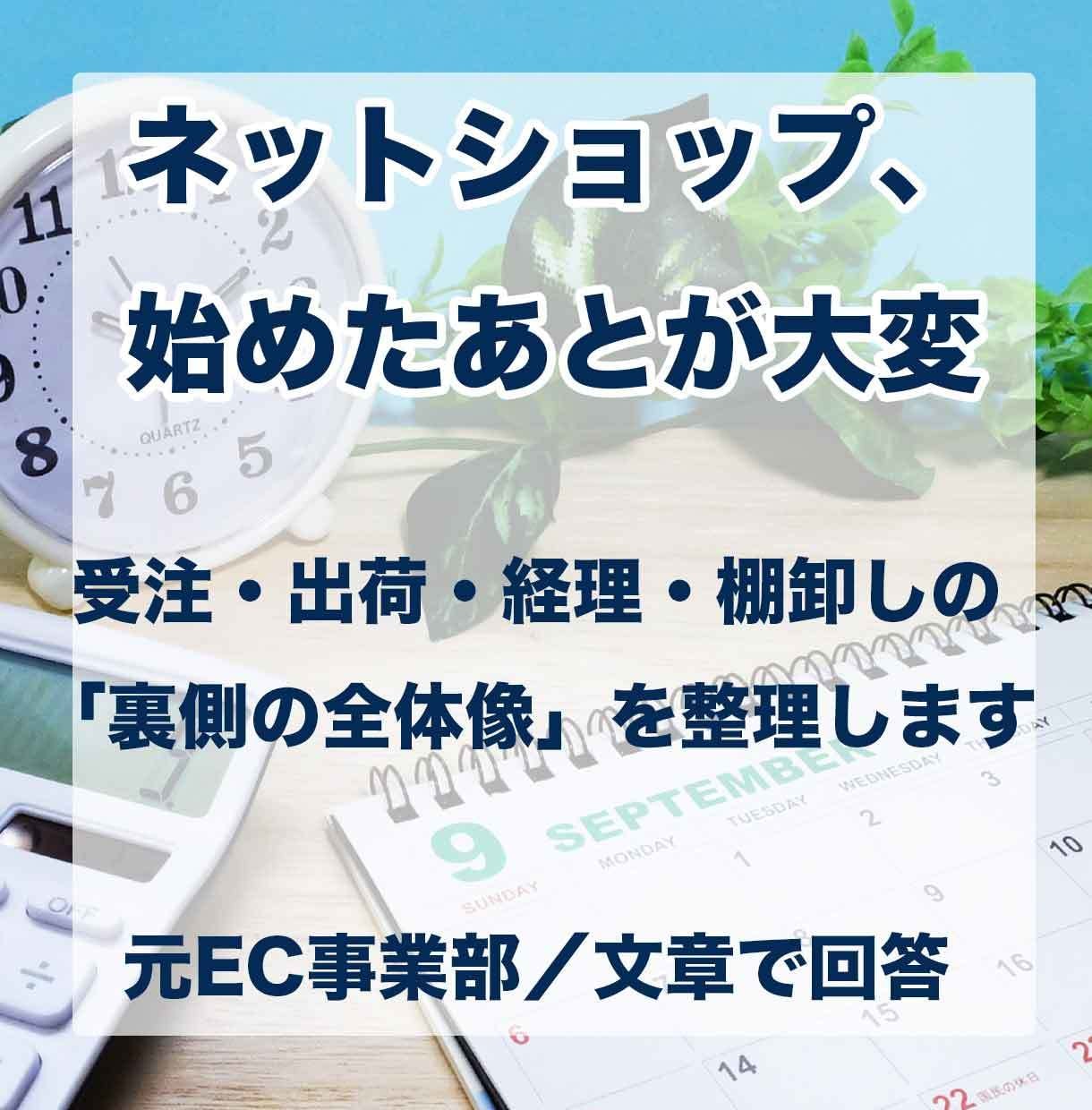 EC運営の全体と裏側を実務経験者が文章で整理します 自社EC・モール実務責任者だったから伝えられるリアルな声 イメージ1