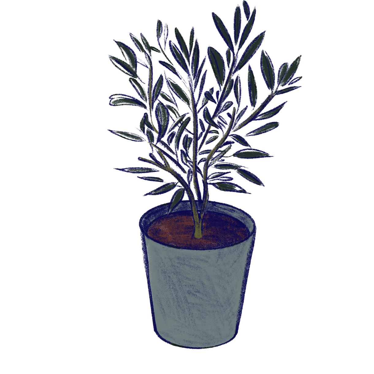 店舗装飾に実績あり＊手描きの植物イラスト描きます カフェのガラス面装飾など商業実績のある繊細な手描きペン画 イメージ6