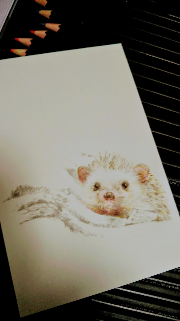 ペットの似顔絵など描きます。ます 動物の似顔絵など描きます。キャラクターデザインなども承ります イメージ5