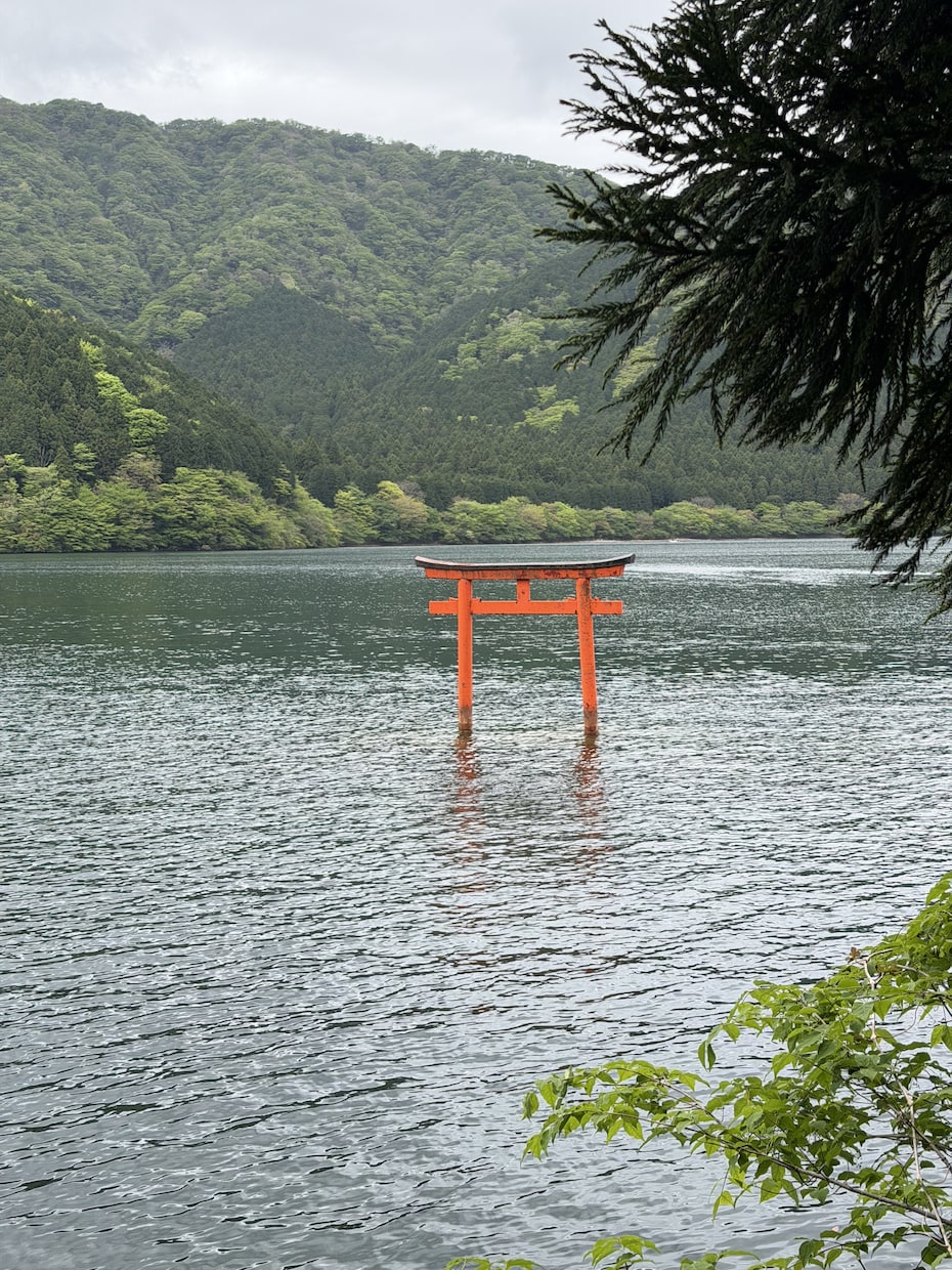 高橋信次「大自然の波動と生命」をベースに占います 生年月日が伝えるあなたへのメッセージをお届けします。 イメージ1