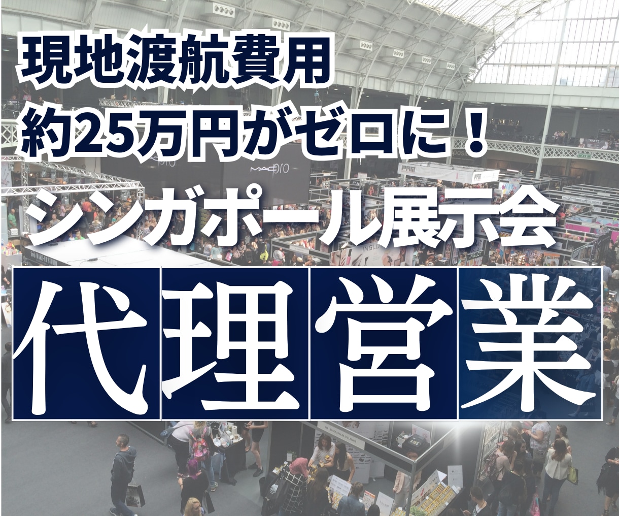 シンガポールの展示会に参加し代理営業します 海外営業のプロが現地で営業・情報収集を行います。 イメージ1