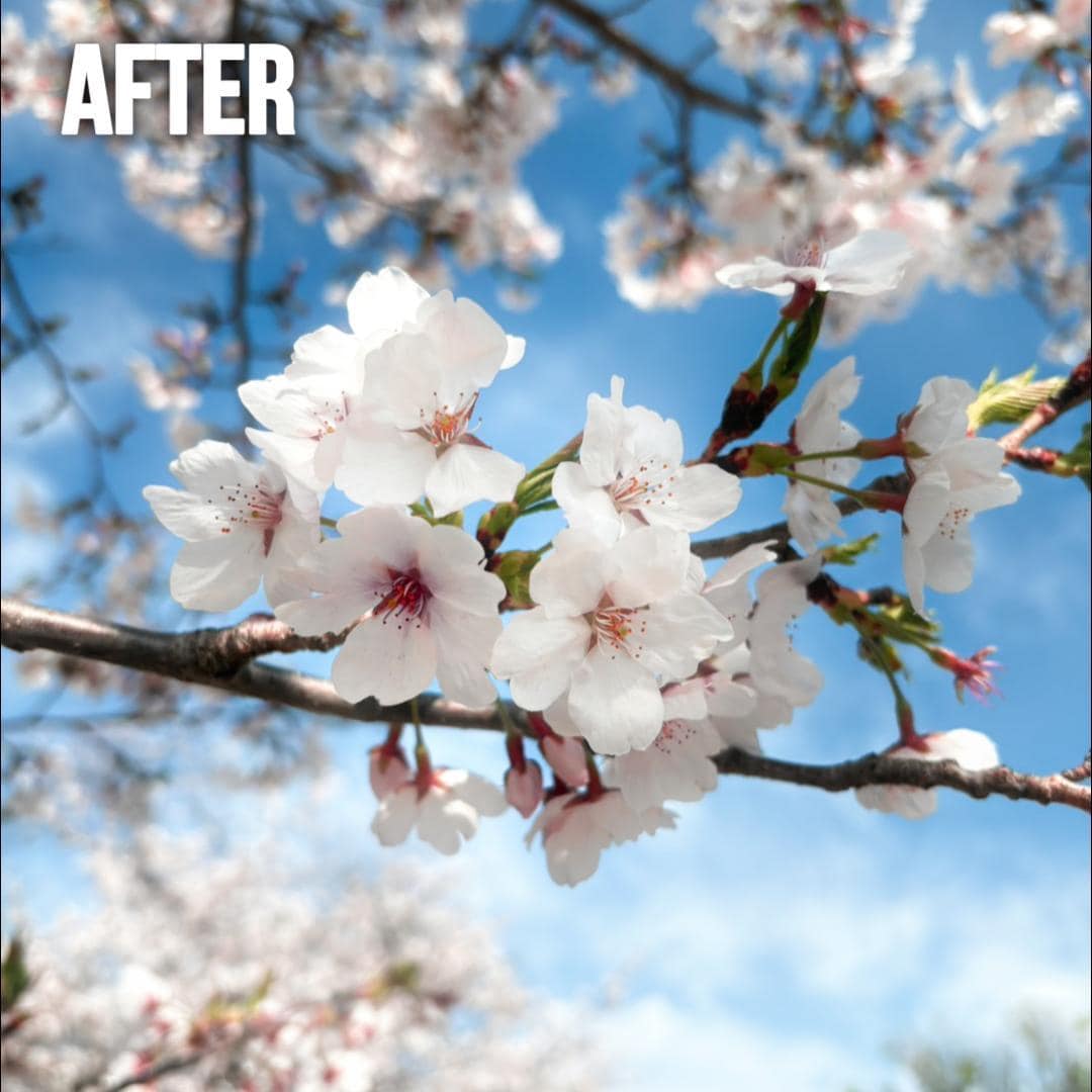 インスタ映えする写真へ24時間以内に変身させます 24時間以内にインスタ映え加工！ イメージ3
