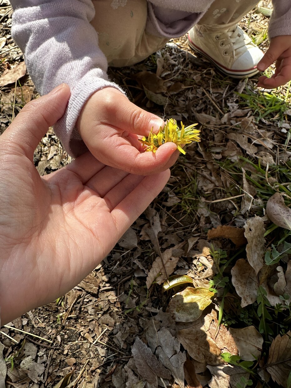 ママやパパの不安や悩み事に寄り添います 初めての子育てや周りの子との違いで不安や悩みはありませんか？ イメージ1