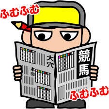 最終12Rの消せる人気馬教えます 買い目点数を最小限減らせます！ イメージ1