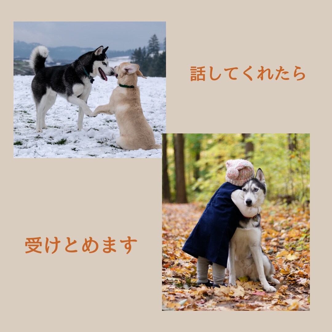 誰かに気持ちを打ち明けたい方の想いを受けとめます チャットでお気軽にお話し下さい。 イメージ3