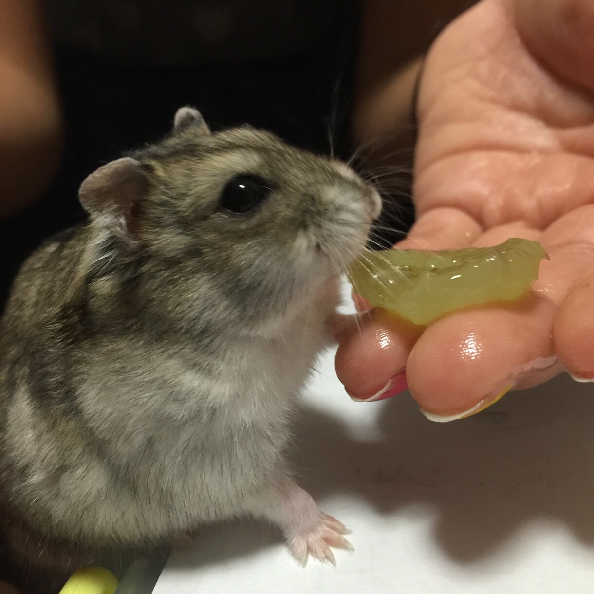 健康になる食事。大切なものは何か。真剣に考えましょう。 イメージ1