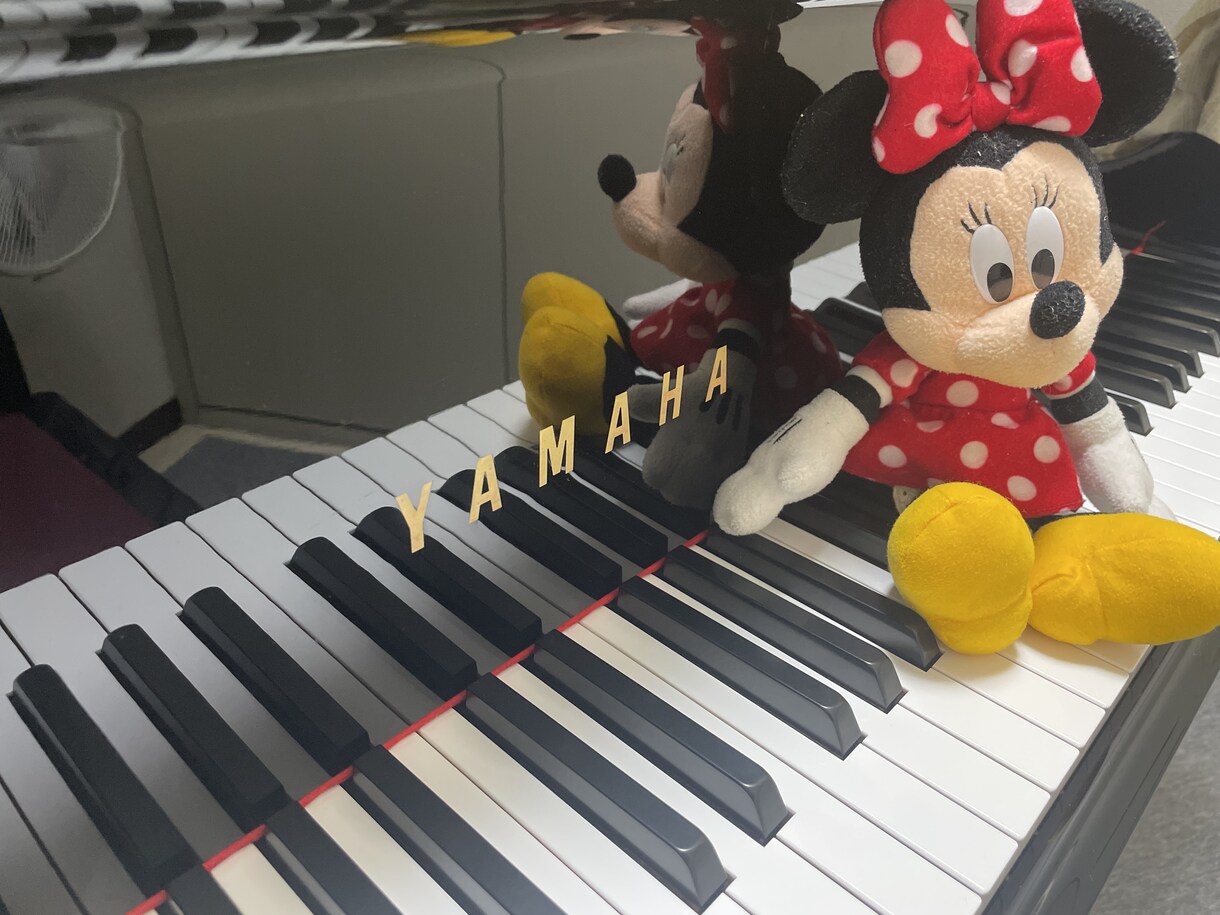 ピアノが弾けるようになりたい方へレッスンします 初心者の方、再チャレンジしたい方、誰でも大歓迎です❣️ イメージ1