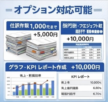 会計士対応|仕訳データから月次決算資料を作成します 個人事業主・小規模法人向けの月次資料作成代行 イメージ3