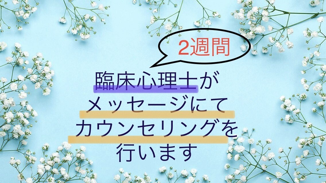 臨床心理士が2週間あなたの心に寄り添います メッセージにてしっかりカウンセリングさせていただきます イメージ1