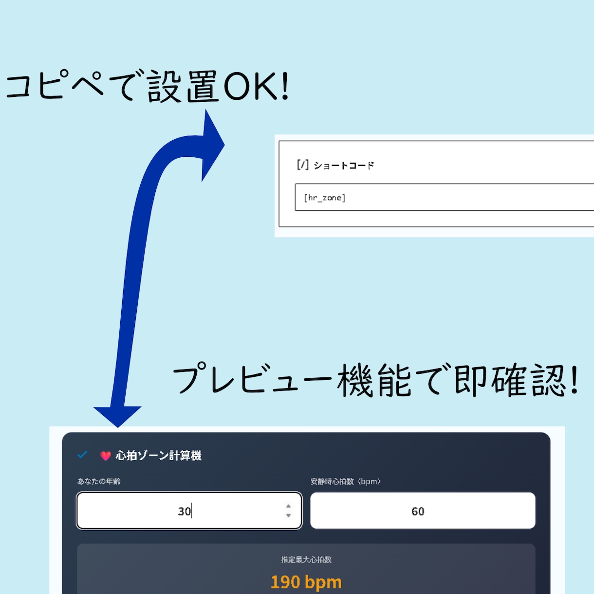 WP_パーツ：年齢と心拍数から運動強度を算出します 健康・運動ブログに。脂肪燃焼や強化に必要な心拍数を自動計算 イメージ1
