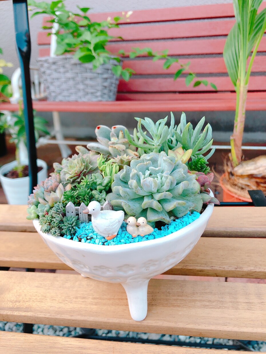 観葉植物などのちょっとした不調も気軽に相談乗ります 葉の変色や水やり方をグリーンアドバイザーがやさしく解決！ イメージ5