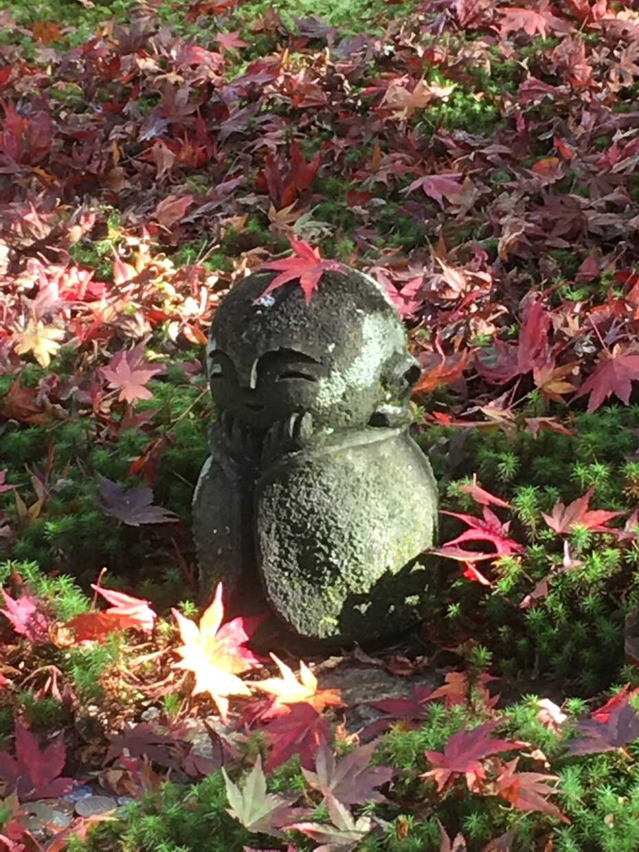京都移住・相談・お手伝いします 移住の計画段階～移住スタート・慣れるまでフォロー イメージ2