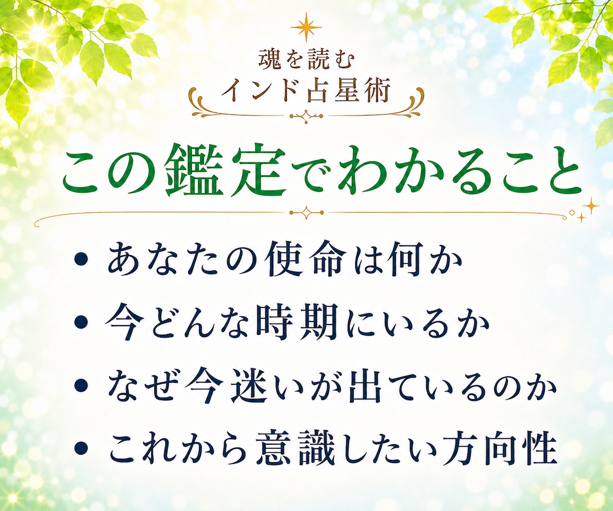 インド占星術で適職と仕事の方向性＋流れを鑑定します 50代から何を仕事にするのか？強み・使命・今やるべきことは？ イメージ2