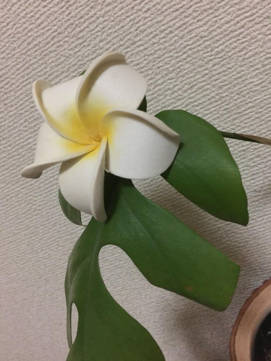 あなたの心癒します ホッと一息、ちょっとだけ甘えたい、誰かに話したい人 イメージ1