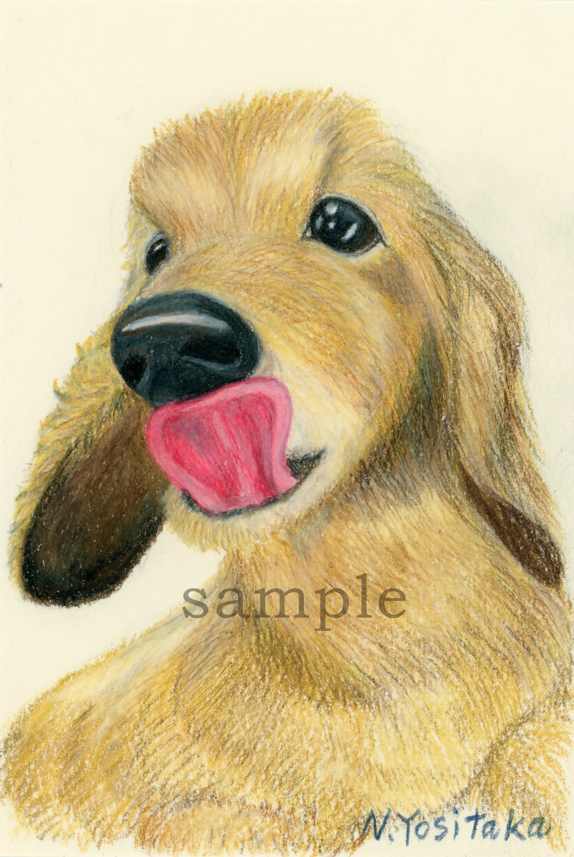 イラストオーダー受付 動物 色鉛筆 イラストオーダー受付 動物 色鉛筆