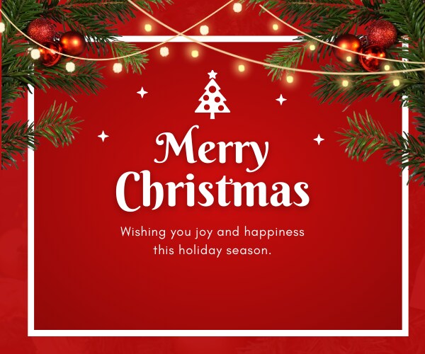 みあ♡と一緒にメリークリスマスパーティ致します お疲れ生です！二人でクリスマスパーティしましょう。盛り上がろ イメージ5